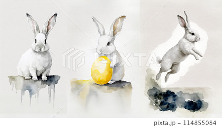白うさぎ 水彩画のイラスト素材 [114855084] - PIXTA