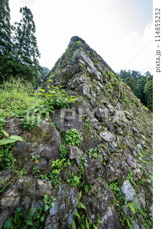 美濃金山城米蔵跡の石垣 美濃金山城米蔵跡の石垣 114855252