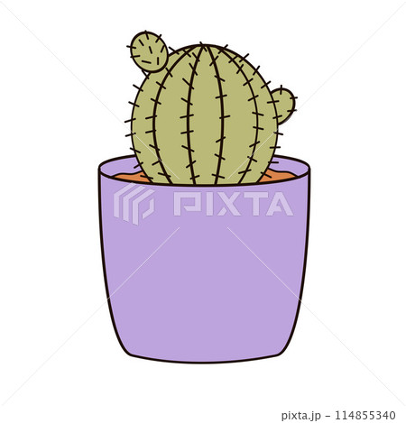 small round cactus in a flower pot 114855340