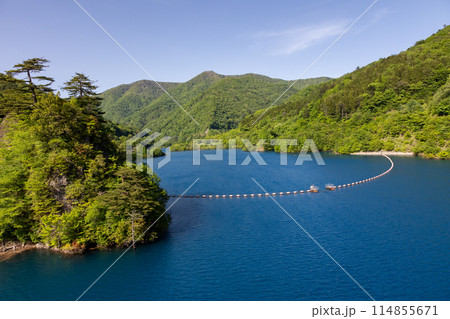 初夏の奥四万湖　群馬県中之条町 114855671