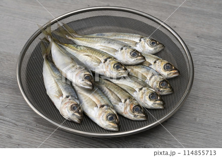 真鯵　小アジ　豆アジ 114855713