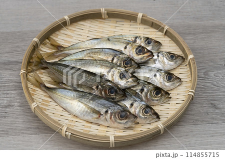 真鯵 小アジ 豆アジ 真鯵 小アジ 豆アジ 114855715