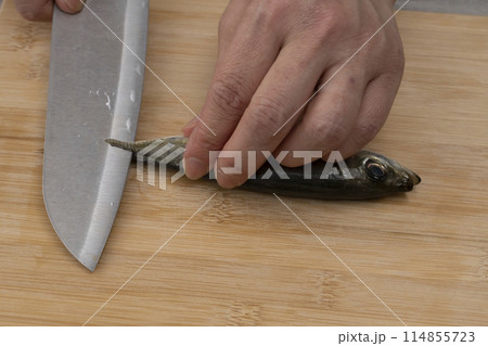 真鯵 小アジ 豆アジ 包丁でセイゴをとる 真鯵 小アジ 豆アジ 包丁でセイゴをとる 114855723