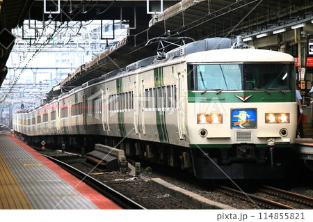 【JR東日本】185系「湘南ライナー」（東海道線：横浜駅） 114855821
