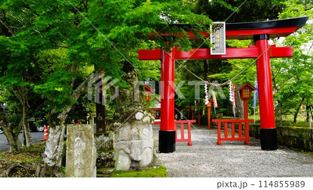 郡山八幡神社 重要文化財 焼酎文字落書 伊佐市 鹿児島県 郡山八幡神社 重要文化財 焼酎文字落書 伊佐市 鹿児島県 114855989