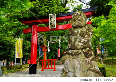 郡山八幡神社 重要文化財 焼酎文字落書 伊佐市 鹿児島県 郡山八幡神社 重要文化財 焼酎文字落書 伊佐市 鹿児島県 114855992