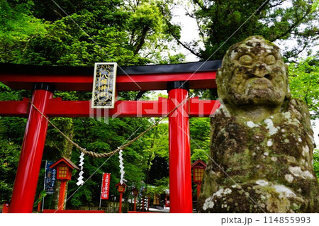 郡山八幡神社　重要文化財　焼酎文字落書　伊佐市　鹿児島県 114855993