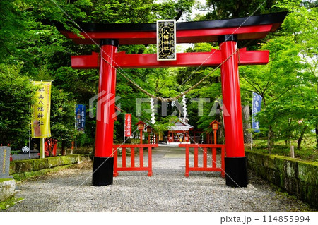 郡山八幡神社 重要文化財 焼酎文字落書 伊佐市 鹿児島県 郡山八幡神社 重要文化財 焼酎文字落書 伊佐市 鹿児島県 114855994
