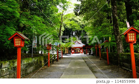 郡山八幡神社 重要文化財 焼酎文字落書 伊佐市 鹿児島県 郡山八幡神社 重要文化財 焼酎文字落書 伊佐市 鹿児島県 114855996