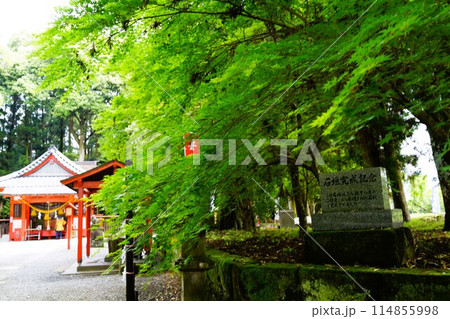 郡山八幡神社　重要文化財　焼酎文字落書　伊佐市　鹿児島県 114855998