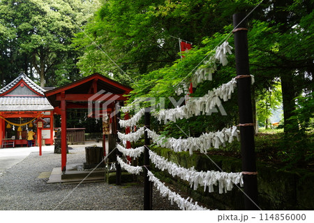 郡山八幡神社　重要文化財　焼酎文字落書　伊佐市　鹿児島県 114856000