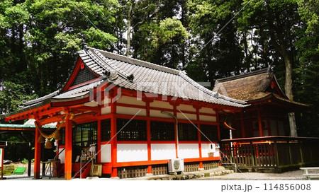 郡山八幡神社 重要文化財 焼酎文字落書 伊佐市 鹿児島県 郡山八幡神社 重要文化財 焼酎文字落書 伊佐市 鹿児島県 114856008