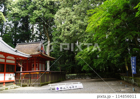 郡山八幡神社 重要文化財 焼酎文字落書 伊佐市 鹿児島県 郡山八幡神社 重要文化財 焼酎文字落書 伊佐市 鹿児島県 114856011