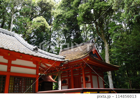 郡山八幡神社　重要文化財　焼酎文字落書　伊佐市　鹿児島県 114856013