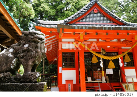郡山八幡神社　重要文化財　焼酎文字落書　伊佐市　鹿児島県 114856017