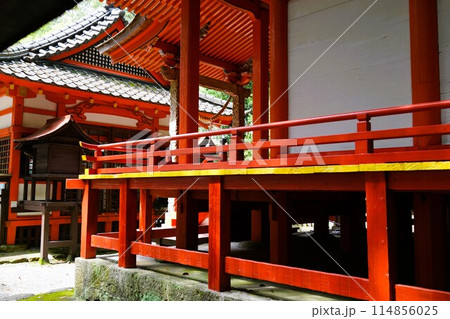 郡山八幡神社 重要文化財 焼酎文字落書 伊佐市 鹿児島県 郡山八幡神社 重要文化財 焼酎文字落書 伊佐市 鹿児島県 114856025