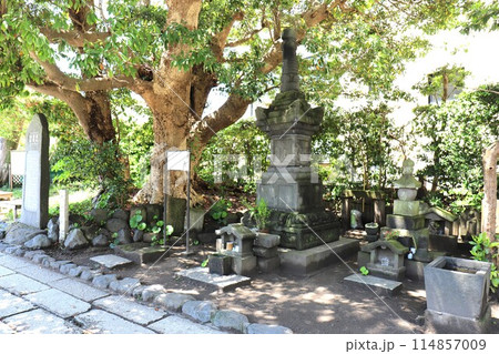 畠山重保邸跡と石造宝篋印塔(神奈川県鎌倉市由比ガ浜2丁目) 畠山重保邸跡と石造宝篋印塔(神奈川県鎌倉市由比ガ浜2丁目) 114857009