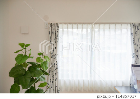 明るい窓辺 部屋 観葉植物 ワンルーム 寝室 明るい窓辺 部屋 観葉植物 ワンルーム 寝室 114857017