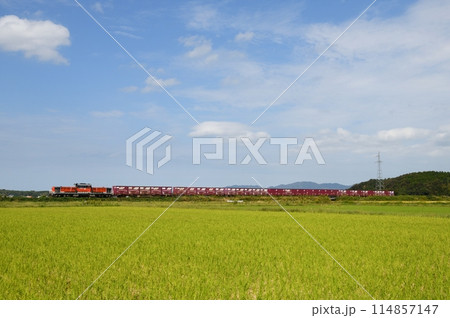 山陰本線を走る災害救援貨物列車 114857147