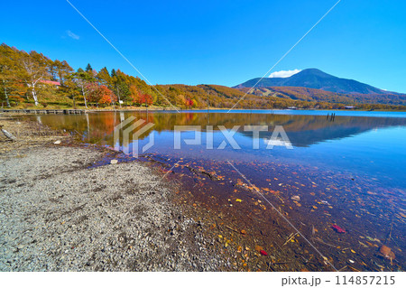 秋の長野県立科町の女神湖の湖畔越しに蓼科山方面を見る 114857215