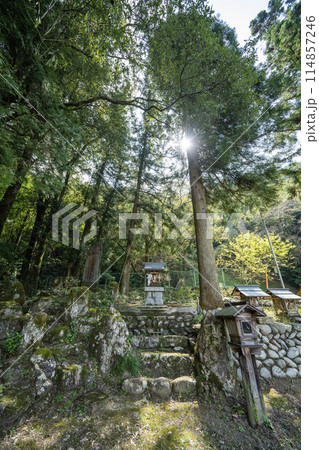 美濃金山城米蔵跡付近社の景色 美濃金山城米蔵跡付近社の景色 114857246