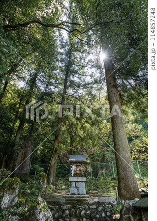 美濃金山城米蔵跡付近の社の景色 114857248