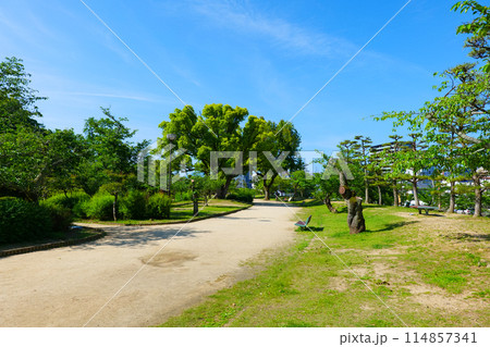 道後公園 道後公園 114857341