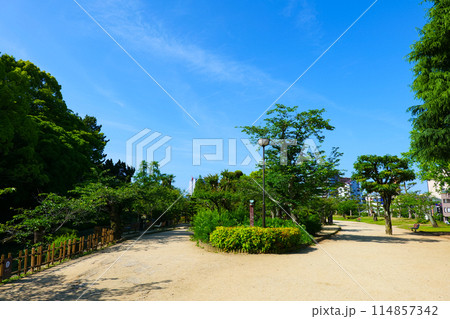 道後公園 道後公園 114857342