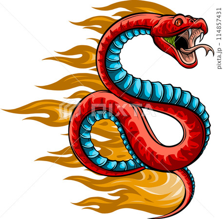 Colorful hand drawn vector illustration of snake Colorful hand drawn vector illustration of snake 114857431