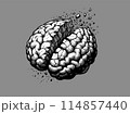 Brain cracking and broken illustration on gray BG 114857440