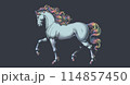 Stencil horse with colorful fur trotting on black BG 114857450