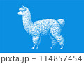 White stencil of alpaca on blue BG 114857454