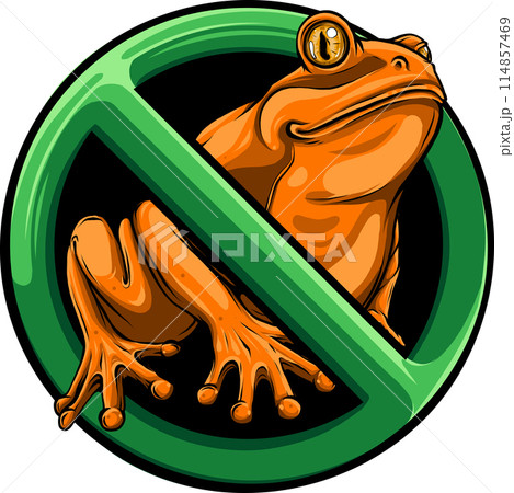 colored draw of frog vector illustration design 114857469