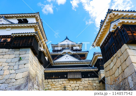 松山城 愛媛県観光 松山城 愛媛県観光 114857542