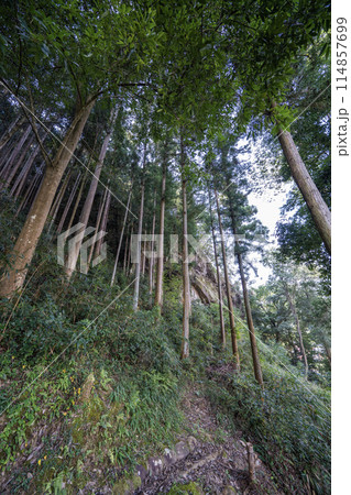美濃金山城米蔵跡の登城口付近の景色 美濃金山城米蔵跡の登城口付近の景色 114857699