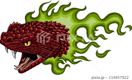 snake head hand drawn vector illustration design snake head hand drawn vector illustration design 114857922