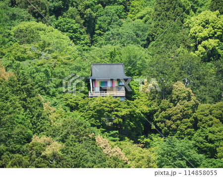 新緑の嵯峨野亀山公園 新緑の嵯峨野亀山公園 114858055