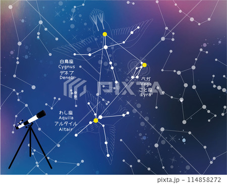 天体観測　夏の大三角形と夏の星座 114858272