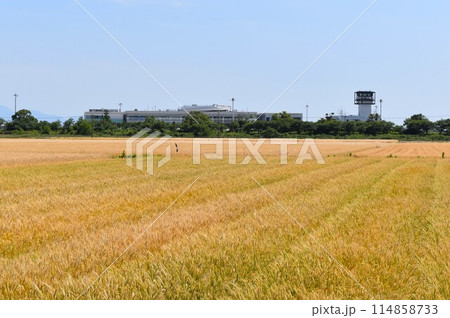 佐賀国際空港隣接農地 佐賀国際空港隣接農地 114858733