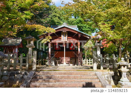 京都 吉田神社の末社 竹中稲荷社(竹中稲荷神社) (京都市左京区) 京都 吉田神社の末社 竹中稲荷社(竹中稲荷神社) (京都市左京区) 114859215
