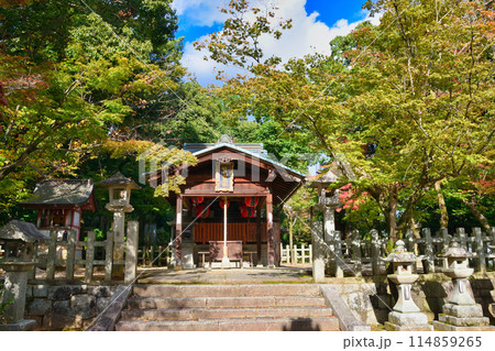 京都　吉田神社の末社　竹中稲荷社（竹中稲荷神社）　　（京都市左京区） 114859265