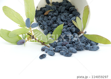 Blue Honeysuckle berries isolated on white background 114859297