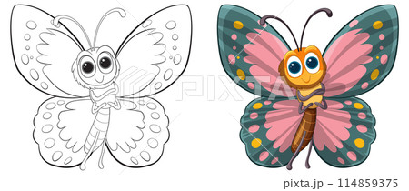 Colorful Butterfly Vector Illustration Colorful Butterfly Vector Illustration 114859375