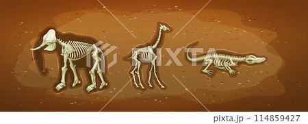 Prehistoric Animal Skeletons on Display 114859427