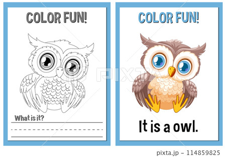 Color Fun Owl Illustration Activity 114859825
