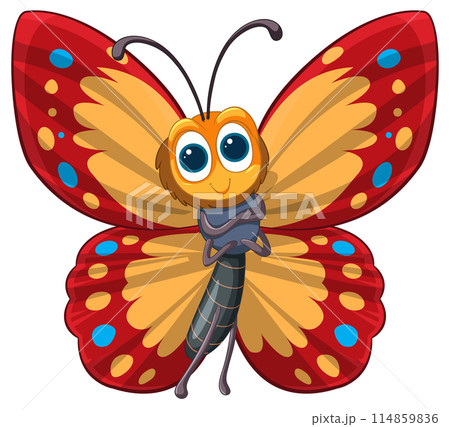 Colorful Cartoon Butterfly Illustration 114859836