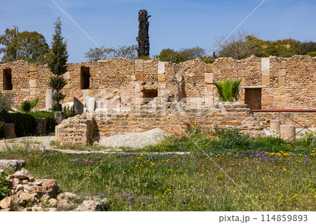 Ruins of roman villas in Carthage, Tunisia Ruins of roman villas in Carthage, Tunisia 114859893
