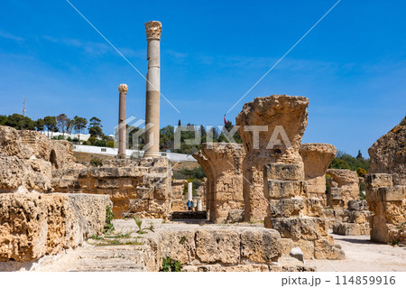Ruins of Antonine Baths at Carthage, Tunisia 114859916