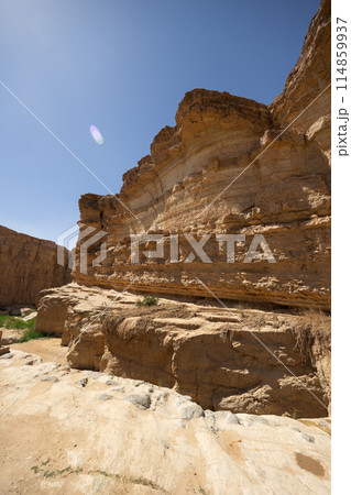 Desert canyon in oasis near waterfall of Tamaqzah, Tunisia 114859937