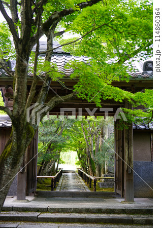 鷹峯光悦寺の参道 鷹峯光悦寺の参道 114860364